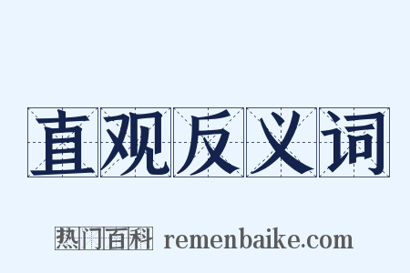 直观反义词是什么意思的图片